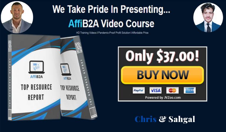 AffiB2A video course